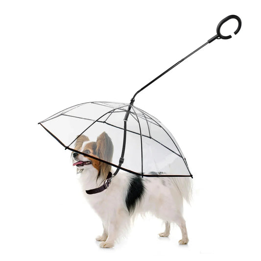 Dog Umbrella